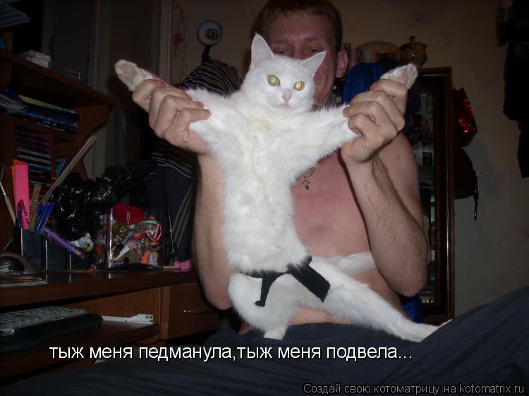 тыж меня педманула,тыж меня подвела...... Котоматрица: тыж меня педманула,тыж меня подвела...