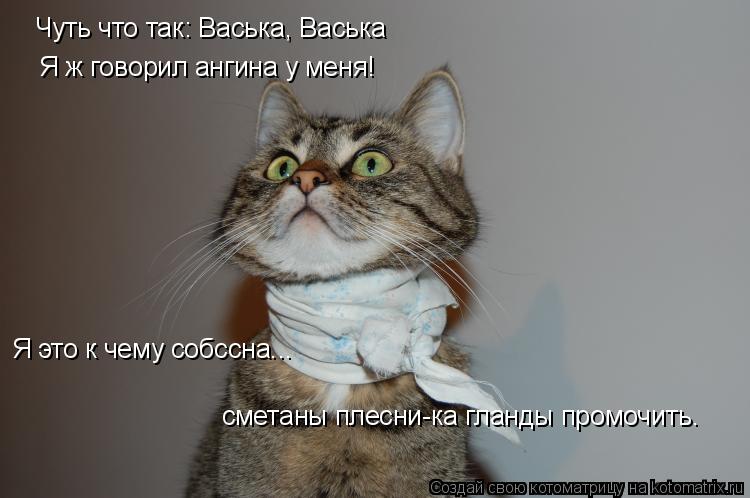 Чуть что так: Васька, Васька Я ж говорил ангина у меня! Я это к чему собссна... сметаны плесни-ка гла... Котоматрица: Чуть что так: Васька, Васька Я ж говорил ангина у меня! Я это к чему собссна... сметаны плесни-ка гланды промочить.