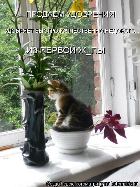 ПРОДАЕМ УДОБРЕНИЯ! УДОБРЯЕТ БЫСТРО,КАЧЧЕСТВЕННО,НЕДОРОГО... ИЗ ПЕРВОЙ Ж_ПЫ... Котоматрица: ПРОДАЕМ УДОБРЕНИЯ! УДОБРЯЕТ БЫСТРО,КАЧЧЕСТВЕННО,НЕДОРОГО... ИЗ ПЕРВОЙ Ж_ПЫ