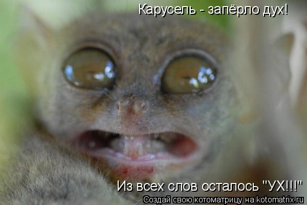 Карусель - запёрло дух! Из всех слов осталось "УХ!!!"... Котоматрица: Карусель - запёрло дух! Из всех слов осталось "УХ!!!"
