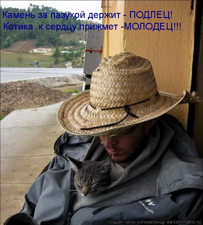 Котика к сердцу прижмет -МОЛОДЕЦ!!! Камень за пазухой держит - ПОДЛЕЦ!... Котоматрица: Котика к сердцу прижмет -МОЛОДЕЦ!!! Камень за пазухой держит - ПОДЛЕЦ!