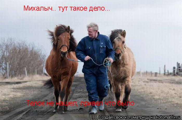 Михалыч.. тут такое дело... Телок не нашел, привел что было... Котоматрица: Михалыч.. тут такое дело... Телок не нашел, привел что было