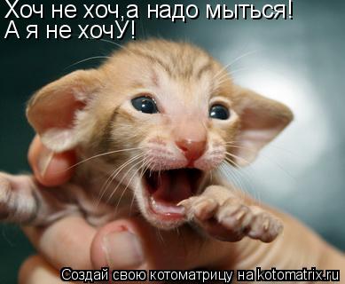 Хоч не хоч,а надо мыться! А я не хочУ!... Котоматрица: Хоч не хоч,а надо мыться! А я не хочУ!