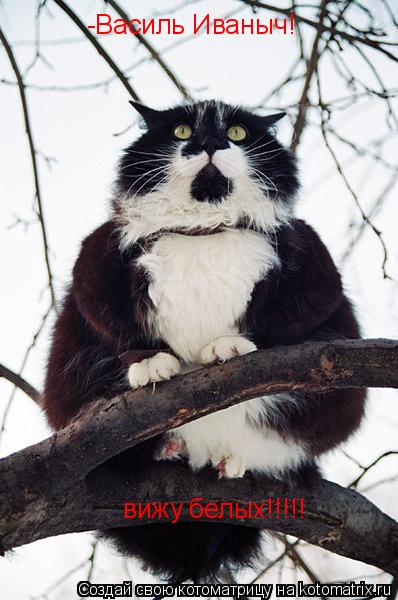 -Василь Иваныч! вижу белых!!!!!... Котоматрица: -Василь Иваныч! вижу белых!!!!!
