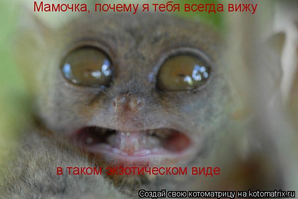 Мамочка, почему я тебя всегда вижу в таком экзотическом виде... Котоматрица: Мамочка, почему я тебя всегда вижу в таком экзотическом виде