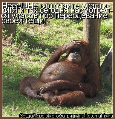 Неее!!!Не включайте ужасти- ки!Я и так сегодня насмотрел- ся ужасов про переодевание своей тёщи!... Котоматрица: Неее!!!Не включайте ужасти- ки!Я и так сегодня насмотрел- ся ужасов про переодевание своей тёщи!