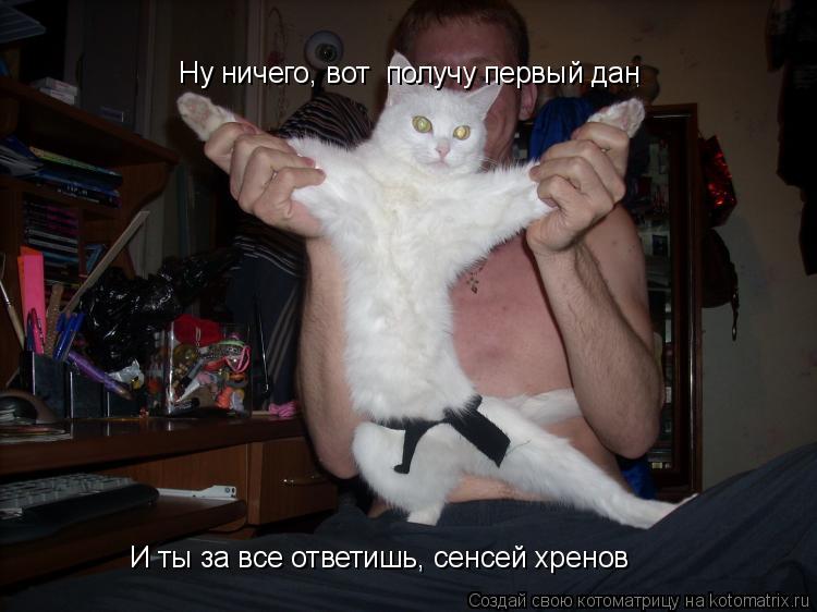 Ну ничего, вот получу первый дан И ты за все ответишь, сенсей хренов... Котоматрица: Ну ничего, вот получу первый дан И ты за все ответишь, сенсей хренов