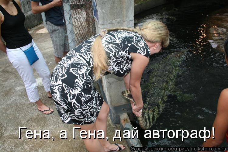 Гена, а Гена, дай автограф!... Котоматрица: Гена, а Гена, дай автограф!
