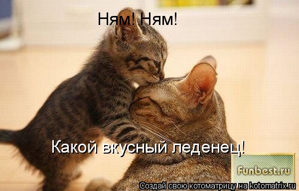 Ням! Ням! Какой вкусный леденец!... Котоматрица: Ням! Ням! Какой вкусный леденец!