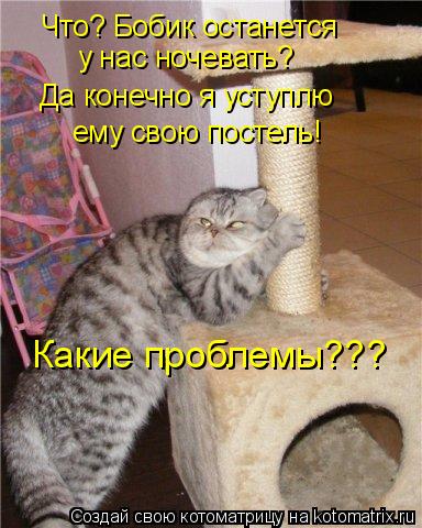 Что? Бобик останется у нас ночевать? Да конечно я уступлю ему свою постель! Какие проблемы???... Котоматрица: Что? Бобик останется у нас ночевать? Да конечно я уступлю ему свою постель! Какие проблемы???
