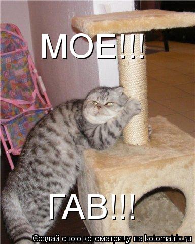 МОЕ!!! ГАВ!!!... Котоматрица: МОЕ!!! ГАВ!!!