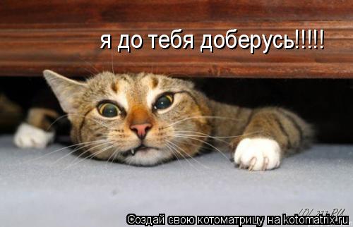 я до тебя доберусь!!!!! я до тебя доберусь!!!!!... Котоматрица: я до тебя доберусь!!!!! я до тебя доберусь!!!!!