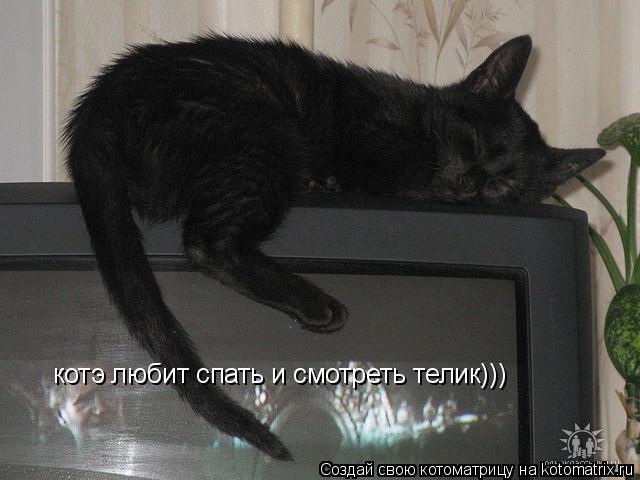 котэ любит спать и смотреть телик)))... Котоматрица: котэ любит спать и смотреть телик)))
