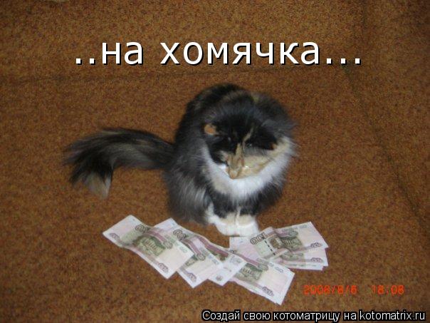 ..на хомячка...... Котоматрица: ..на хомячка...