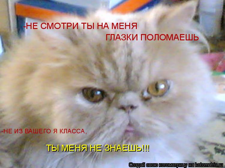 -НЕ СМОТРИ ТЫ НА МЕНЯ ГЛАЗКИ ПОЛОМАЕШЬ -НЕ ИЗ ВАШЕГО Я КЛАССА, ТЫ МЕНЯ НЕ ЗНАЕШЬ!!!... Котоматрица: -НЕ СМОТРИ ТЫ НА МЕНЯ ГЛАЗКИ ПОЛОМАЕШЬ -НЕ ИЗ ВАШЕГО Я КЛАССА, ТЫ МЕНЯ НЕ ЗНАЕШЬ!!!