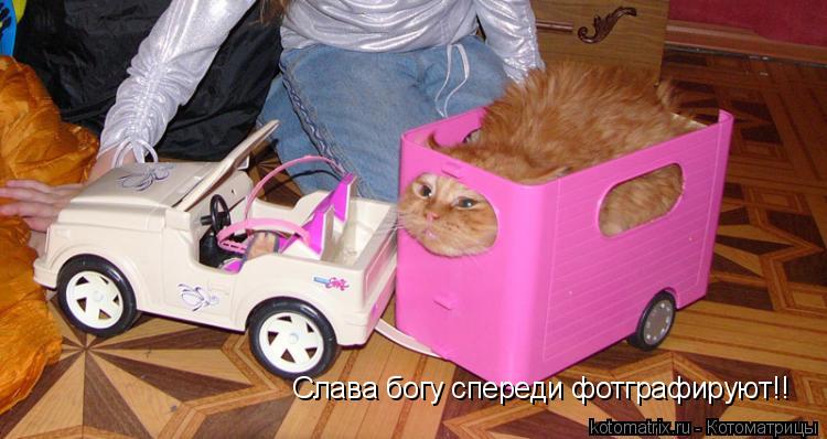 Слава богу спереди фотграфируют!!... Котоматрица: Слава богу спереди фотграфируют!!