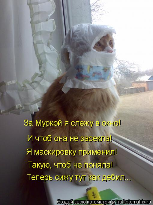 За Муркой я слежу в окно! И чтоб она не засекла! Я маскировку применил! Такую, чтоб не поняла! Теперь... Котоматрица: За Муркой я слежу в окно! И чтоб она не засекла! Я маскировку применил! Такую, чтоб не поняла! Теперь сижу тут как дебил...