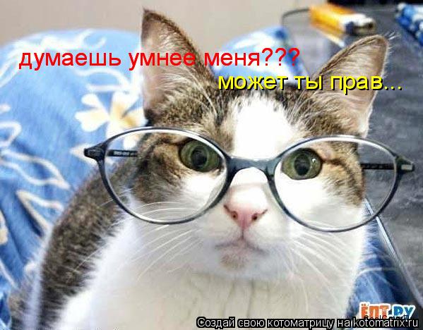 думаешь умнее меня??? думаешь умнее меня??? может ты прав...... Котоматрица: думаешь умнее меня??? думаешь умнее меня??? может ты прав...