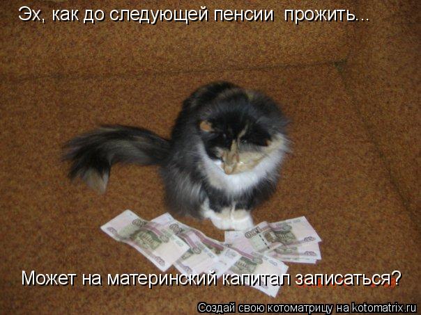 Эх, как до следующей пенсии прожить... Может на материнский капитал записаться?... Котоматрица: Эх, как до следующей пенсии прожить... Может на материнский капитал записаться?