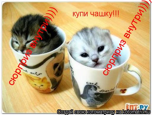 купи чашку!!! сюрприз внутри)))) сюрприз внутри))))... Котоматрица: купи чашку!!! сюрприз внутри)))) сюрприз внутри))))