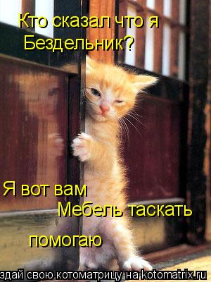 Кто сказал что я Бездельник? Я вот вам Мебель таскать помогаю... Котоматрица: Кто сказал что я Бездельник? Я вот вам Мебель таскать помогаю