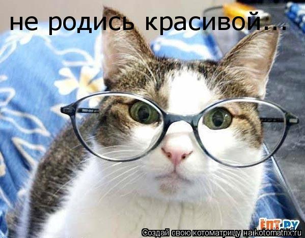 не родись красивой...... Котоматрица: не родись красивой...