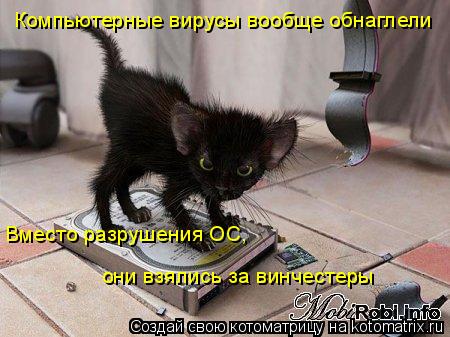 Компьютерные вирусы вообще обнаглели Вместо разрушения ОС, они взялись за винчестеры... Котоматрица: Компьютерные вирусы вообще обнаглели Вместо разрушения ОС, они взялись за винчестеры