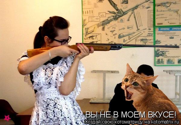 ВЫ НЕ В МОЕМ ВКУСЕ!... Котоматрица: ВЫ НЕ В МОЕМ ВКУСЕ!