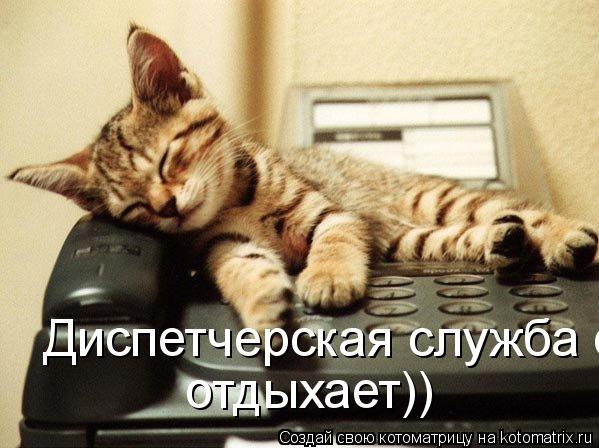 Диспетчерская служба отдыхает)) отдыхает))... Котоматрица: Диспетчерская служба отдыхает)) отдыхает))