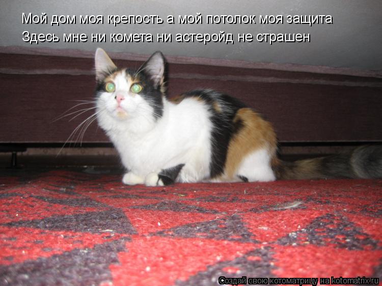 Мой дом моя крепость а мой потолок моя защита Здесь мне ни комета ни астеройд не страшен... Котоматрица: Мой дом моя крепость а мой потолок моя защита Здесь мне ни комета ни астеройд не страшен