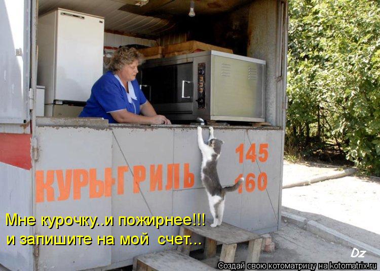Мне курочку..и пожирнее!!! и запишите на мой счет...... Котоматрица: Мне курочку..и пожирнее!!! и запишите на мой счет...