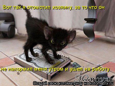 Вот так я отомстил хозяину, за то что он не накормил меня утром и ушел на работу... Котоматрица: Вот так я отомстил хозяину, за то что он не накормил меня утром и ушел на работу