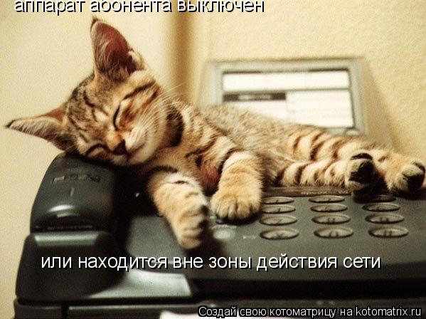Котоматрица: аппарат абонента выключен  или находится вне зоны действия сети