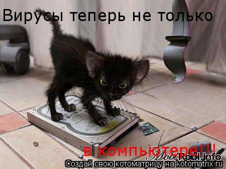 Вирусы теперь не только в компьютере!!!... Котоматрица: Вирусы теперь не только в компьютере!!!