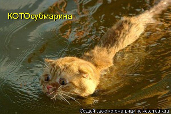 КОТОсубмарина... Котоматрица: КОТОсубмарина