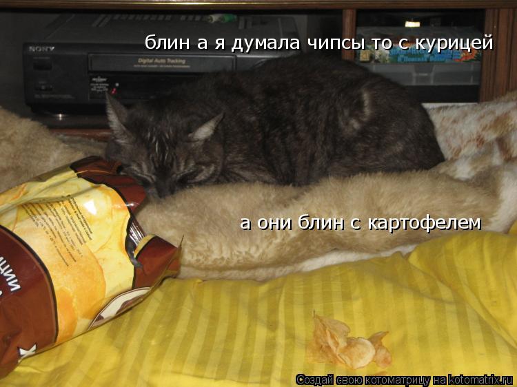 блин а я думала чипсы то с курицей а они блин с картофелем... Котоматрица: блин а я думала чипсы то с курицей а они блин с картофелем