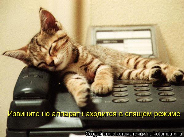 Извините но аппарат находится в спящем режиме... Котоматрица: Извините но аппарат находится в спящем режиме