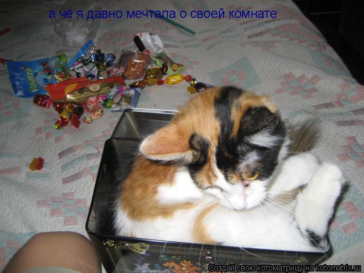 а чё я давно мечтала о своей комнате... Котоматрица: а чё я давно мечтала о своей комнате
