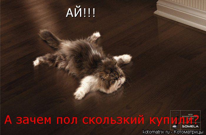 АЙ!!! А зачем пол скользкий купили?... Котоматрица: АЙ!!! А зачем пол скользкий купили?