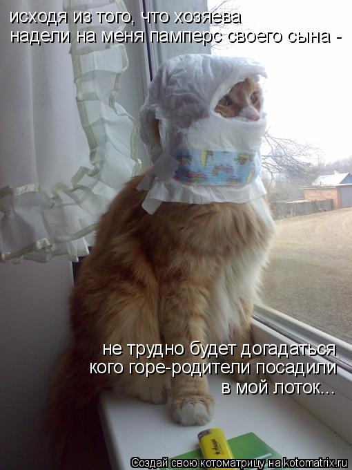 исходя из того, что хозяева надели на меня памперс своего сына - не трудно будет догадаться кого гор... Котоматрица: исходя из того, что хозяева надели на меня памперс своего сына - не трудно будет догадаться кого горе-родители посадили в мой лоток...
