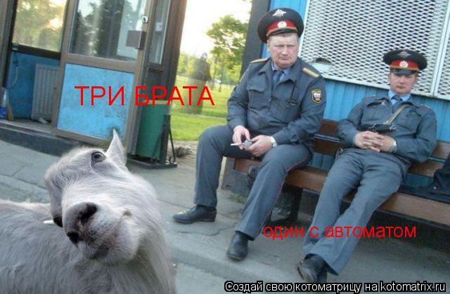 Котоматрица: ТРИ БРАТА один с автоматом