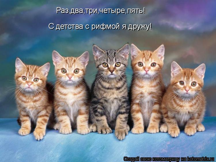 Раз,два,три,четыре,пять! С детства с рифмой я дружу!... Котоматрица: Раз,два,три,четыре,пять! С детства с рифмой я дружу!