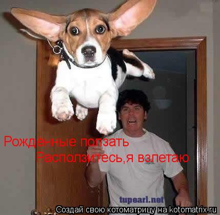 Рождённые ползать Расползитесь,я взлетаю... Котоматрица: Рождённые ползать Расползитесь,я взлетаю
