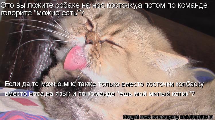 Это вы ложите собаке на нос косточку,а потом по команде Если да,то можно мне также только вместо кос... Котоматрица: Это вы ложите собаке на нос косточку,а потом по команде Если да,то можно мне также только вместо косточки колбаску вместо носа,на язык,и по