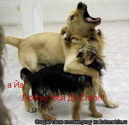 а Йа Люблю тебя До Слёз!!!... Котоматрица: а Йа Люблю тебя До Слёз!!!