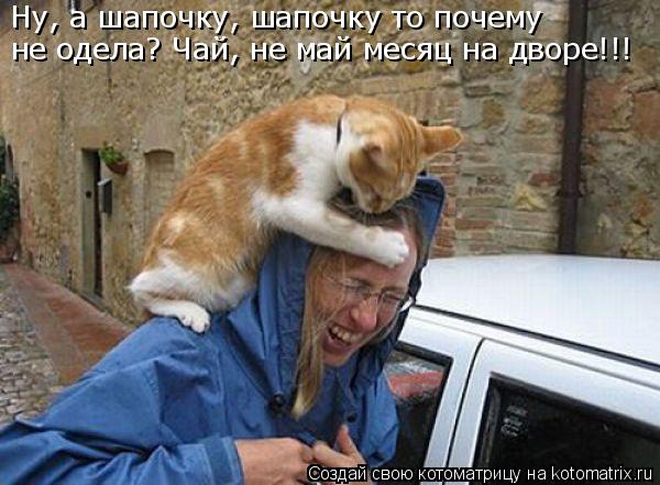 Ну, а шапочку, шапочку то почему не одела? Чай, не май месяц на дворе!!!... Котоматрица: Ну, а шапочку, шапочку то почему не одела? Чай, не май месяц на дворе!!!