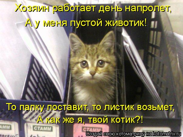 Хозяин работает день напролет, А у меня пустой животик! То папку поставит, то листик возьмет, А как ж... Котоматрица: Хозяин работает день напролет, А у меня пустой животик! То папку поставит, то листик возьмет, А как же я, твой котик?!