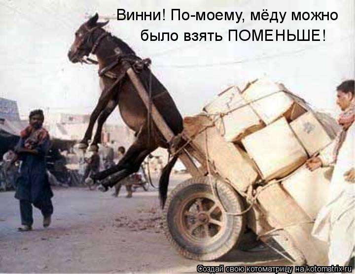 Винни! По-моему, мёду можно было взять ПОМЕНЬШЕ!... Котоматрица: Винни! По-моему, мёду можно было взять ПОМЕНЬШЕ!
