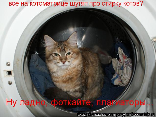 Ну ладно, фоткайте, плагиаторы... все на котоматрице шутят про стирку котов?... Котоматрица: Ну ладно, фоткайте, плагиаторы... все на котоматрице шутят про стирку котов?