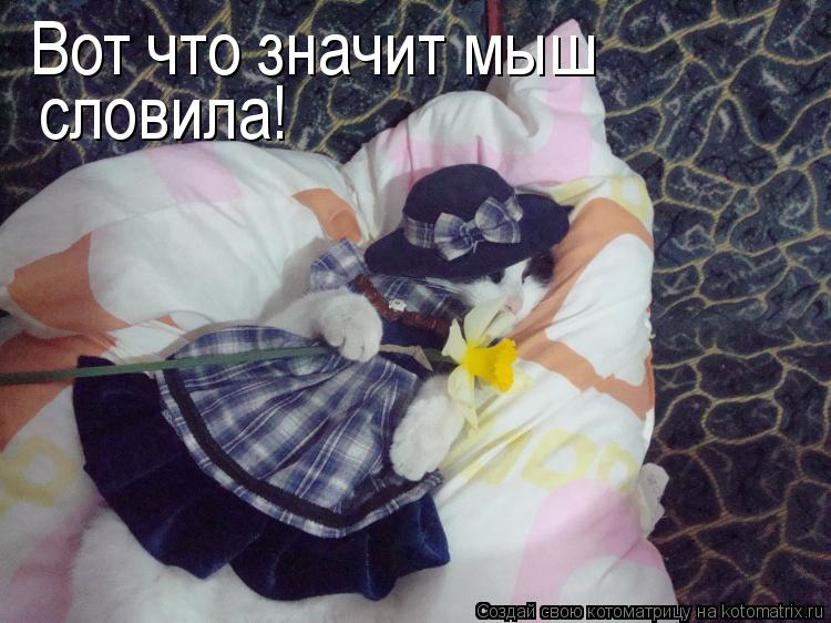 Вот что значит мыш словила!... Котоматрица: Вот что значит мыш словила!